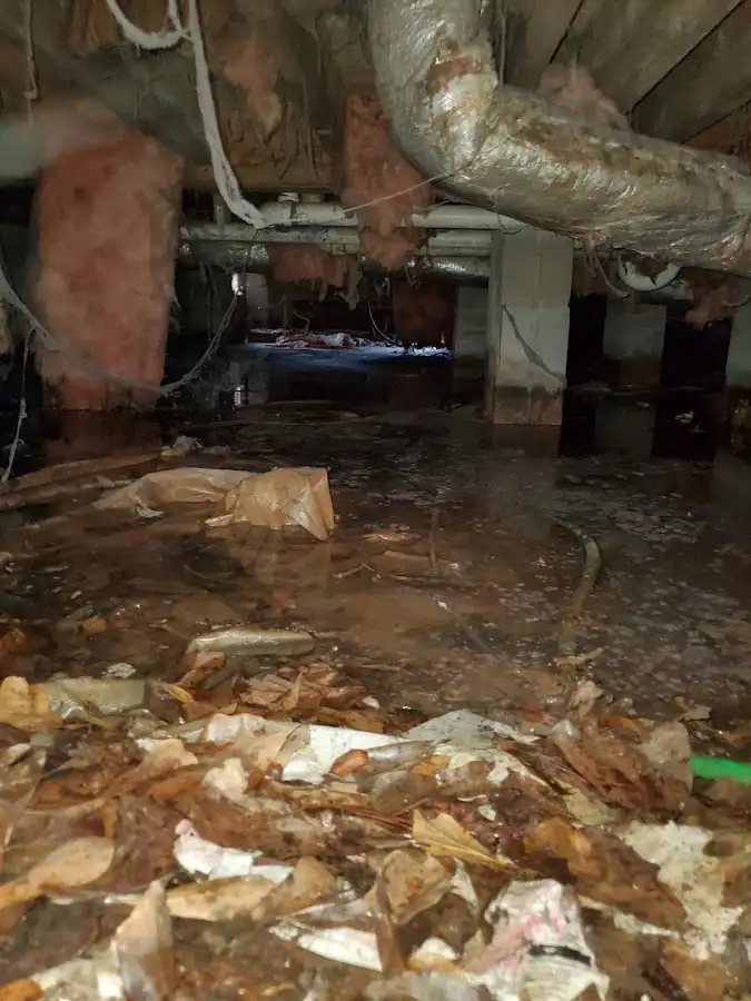 Crawl space flood assessment for Leak Detection & Repair in Cedar Hill